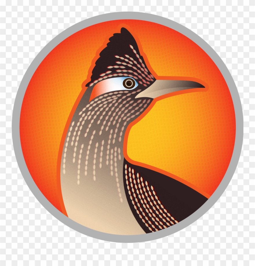 Birds Of Greater Roadrunner Geococcyx Californianus - Oro Sports Village Hyderabad Clipart