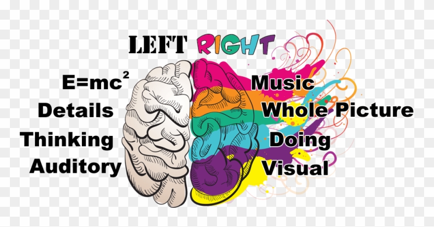 Memory Clipart Musical Brain - Right Brain Learners - Png Download