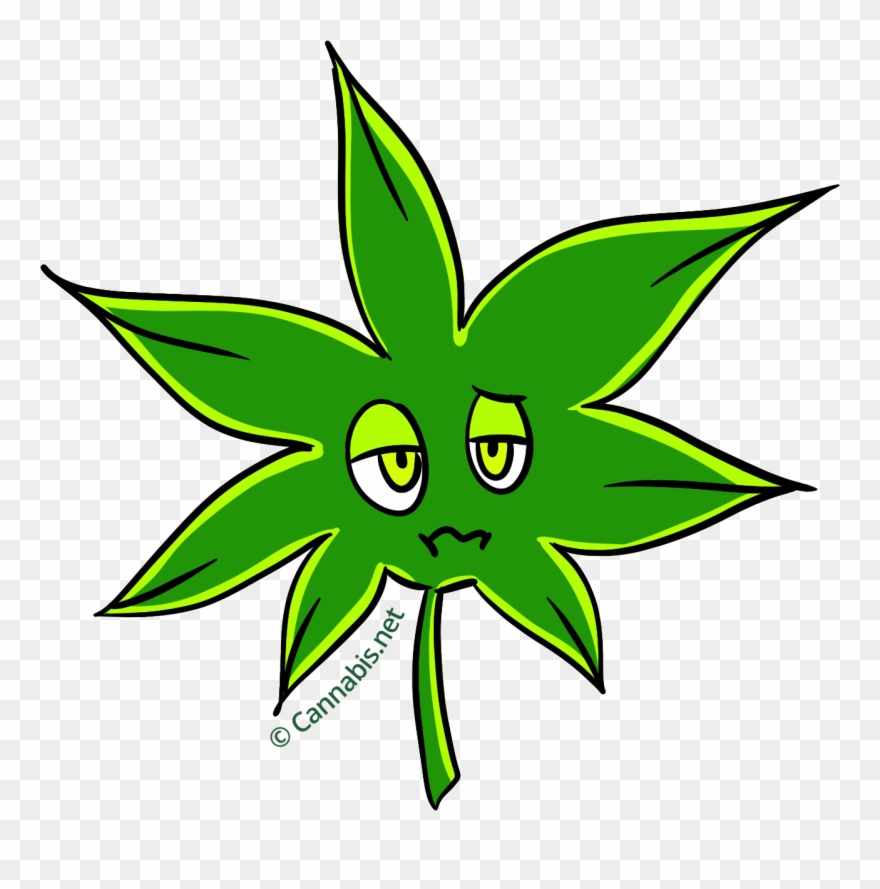 Girl Scout Cookies Insomnia - Kush Clipart