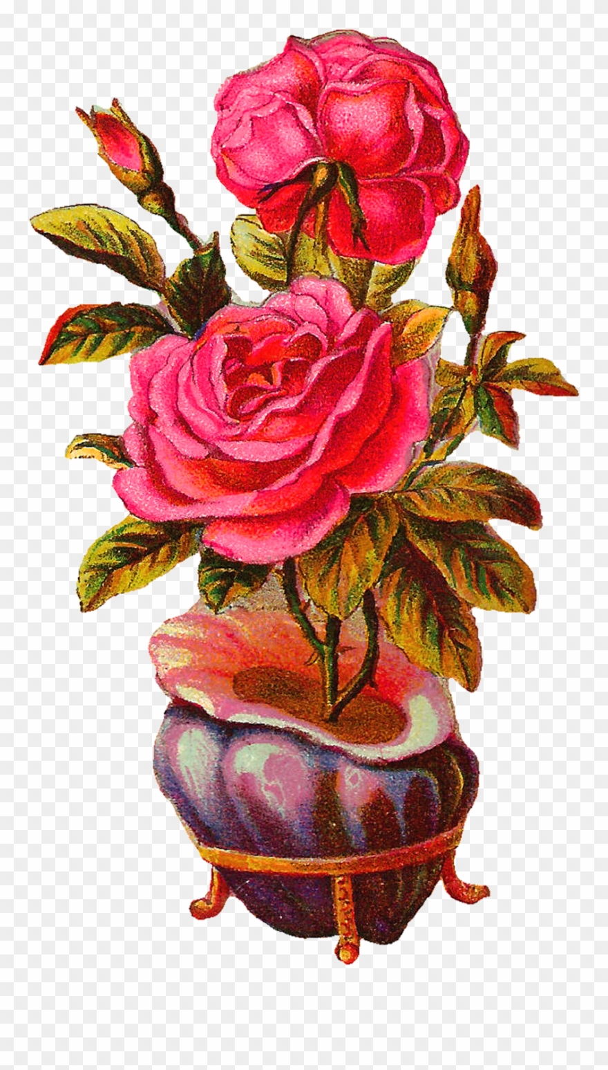 Botanical Vintage Download Pink Rose With Shell Vase - Vintage Vase Png Flower Clipart