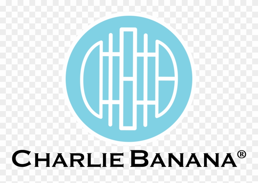Charlie Banana - 2-in-1 Bamboo Liners Clipart