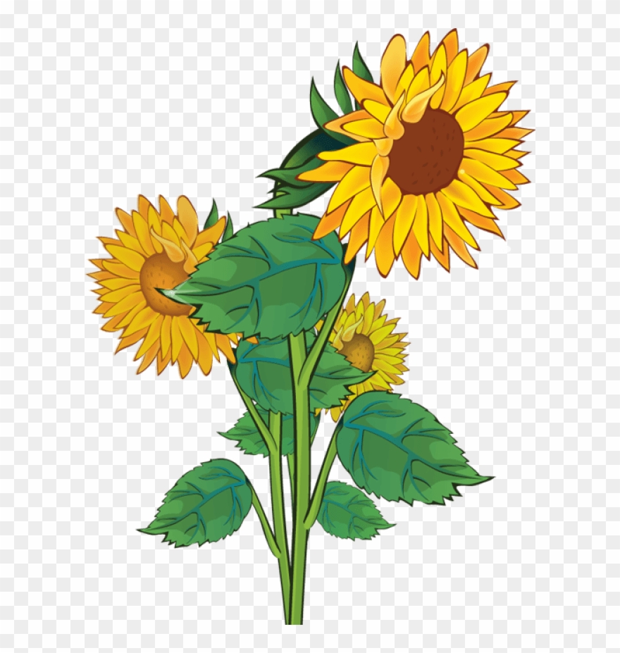Free Sunflower Clipart Public Domain Flower Clip Art - Plants Sunflower Clip Art - Png Download