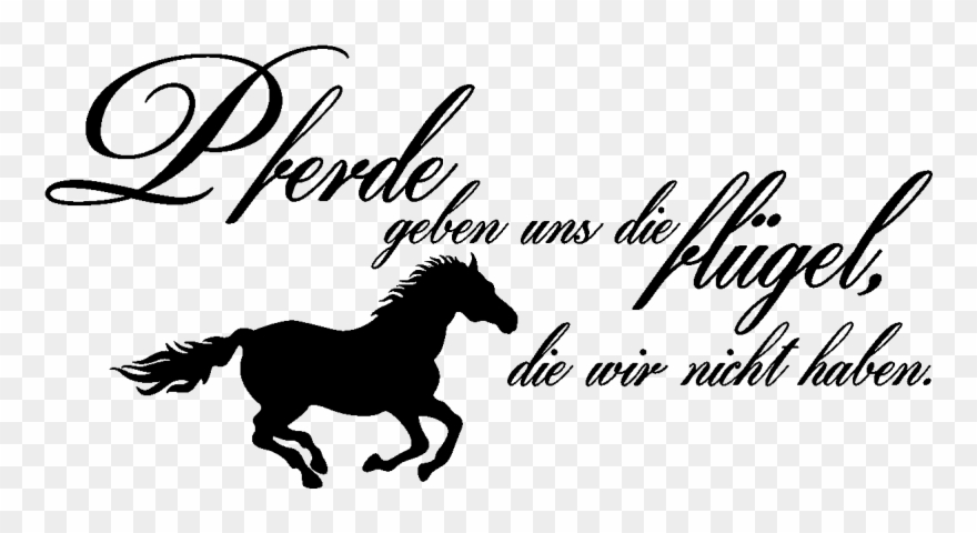 Stickers Muraux Citations - Running Horse Silhouette Png Clipart