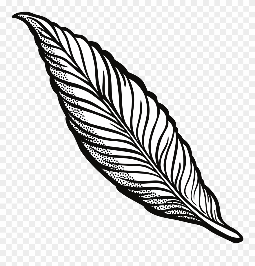 Clipart Feather Lineart 45 Anniversary Clip Art Free - Transparent Background Feather Clipart Black And White - Png Download