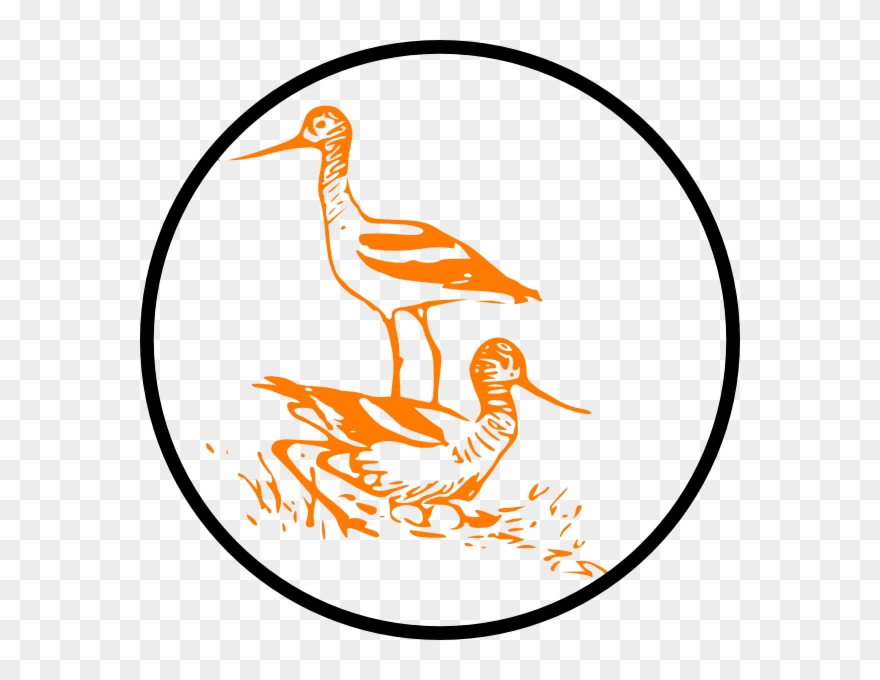Bird Clipart