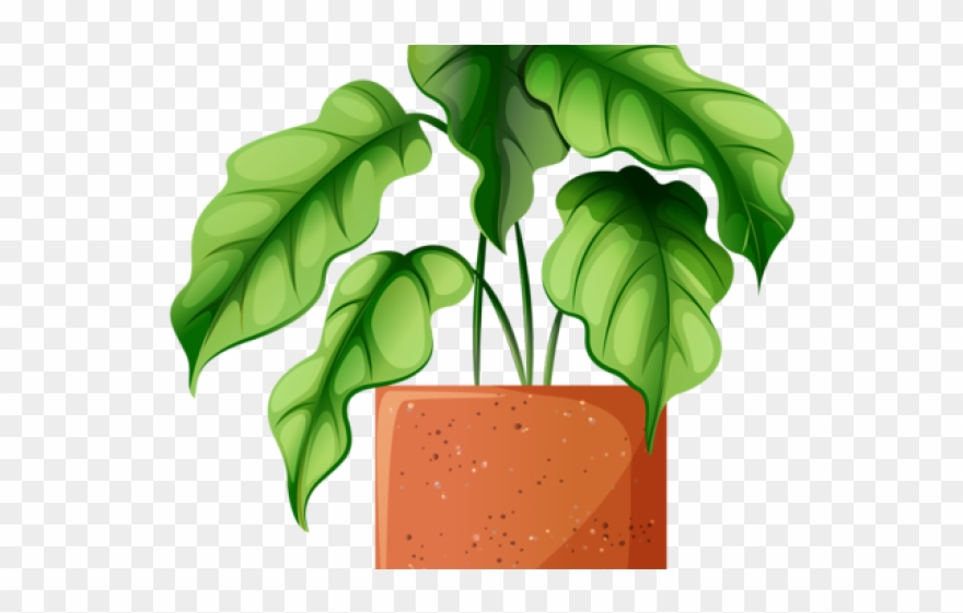 Potted Plants Clipart 1 Flower - Clip Art - Png Download