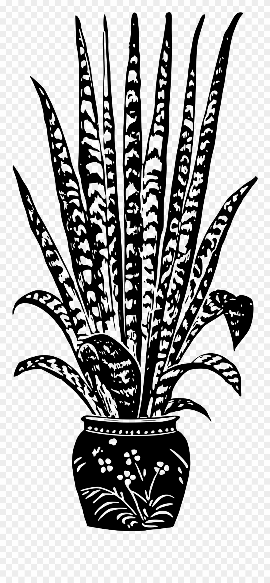 Big Image - House Plant Black And White Clipart