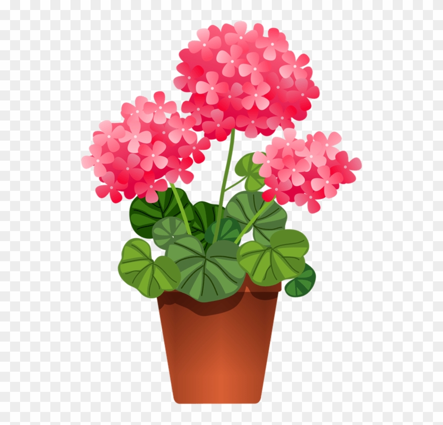 Plant With Flowers Clipart - Png Download