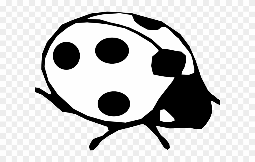 Potted Plants Clipart Black And White - Ladybird Black And White - Png Download