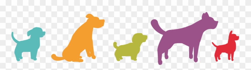 Dog Breed Selector - Dog Catches Something Clipart