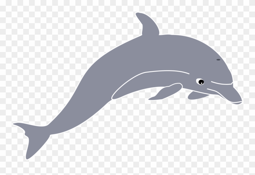 This Free Icons Png Design Of Dolphin Enrique Meza Clipart