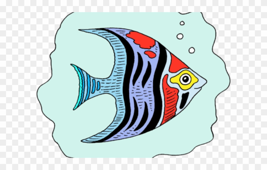 Fish Clipart Transparent Background - Coral Reef Fish - Png Download