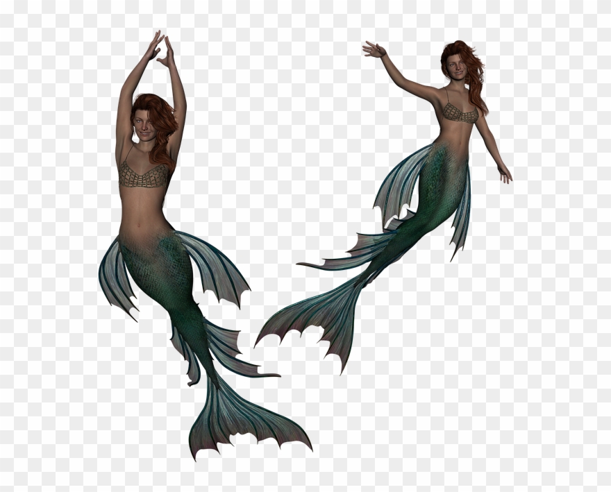 Siren Mermaid Png Clipart