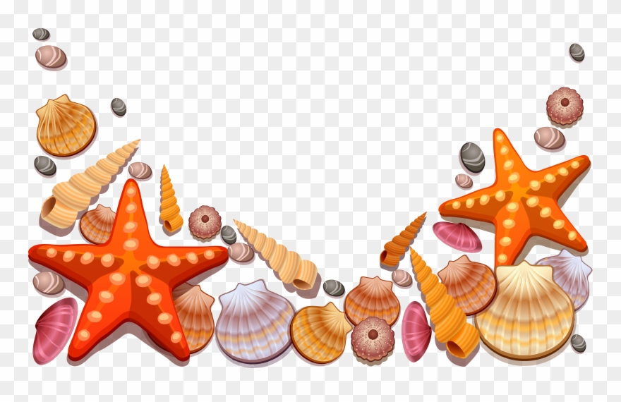 Sea Shells Vector Png Clipart
