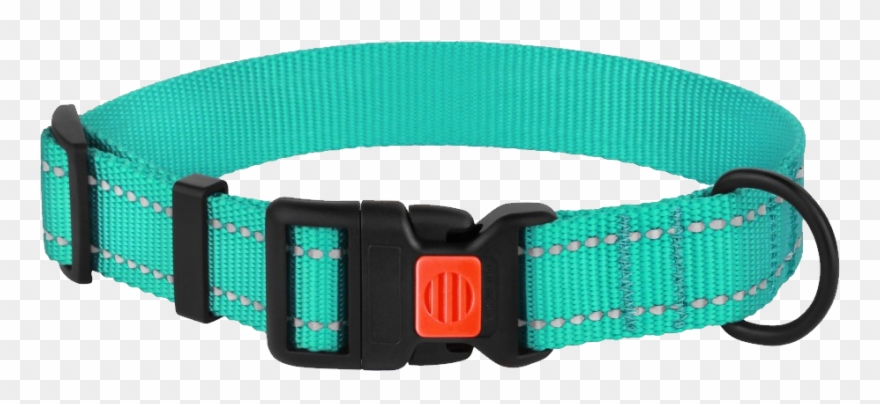 Dog Collar Png - Ошейник Для Собак Bronzedog Urban Tribal С Пластиковой Clipart