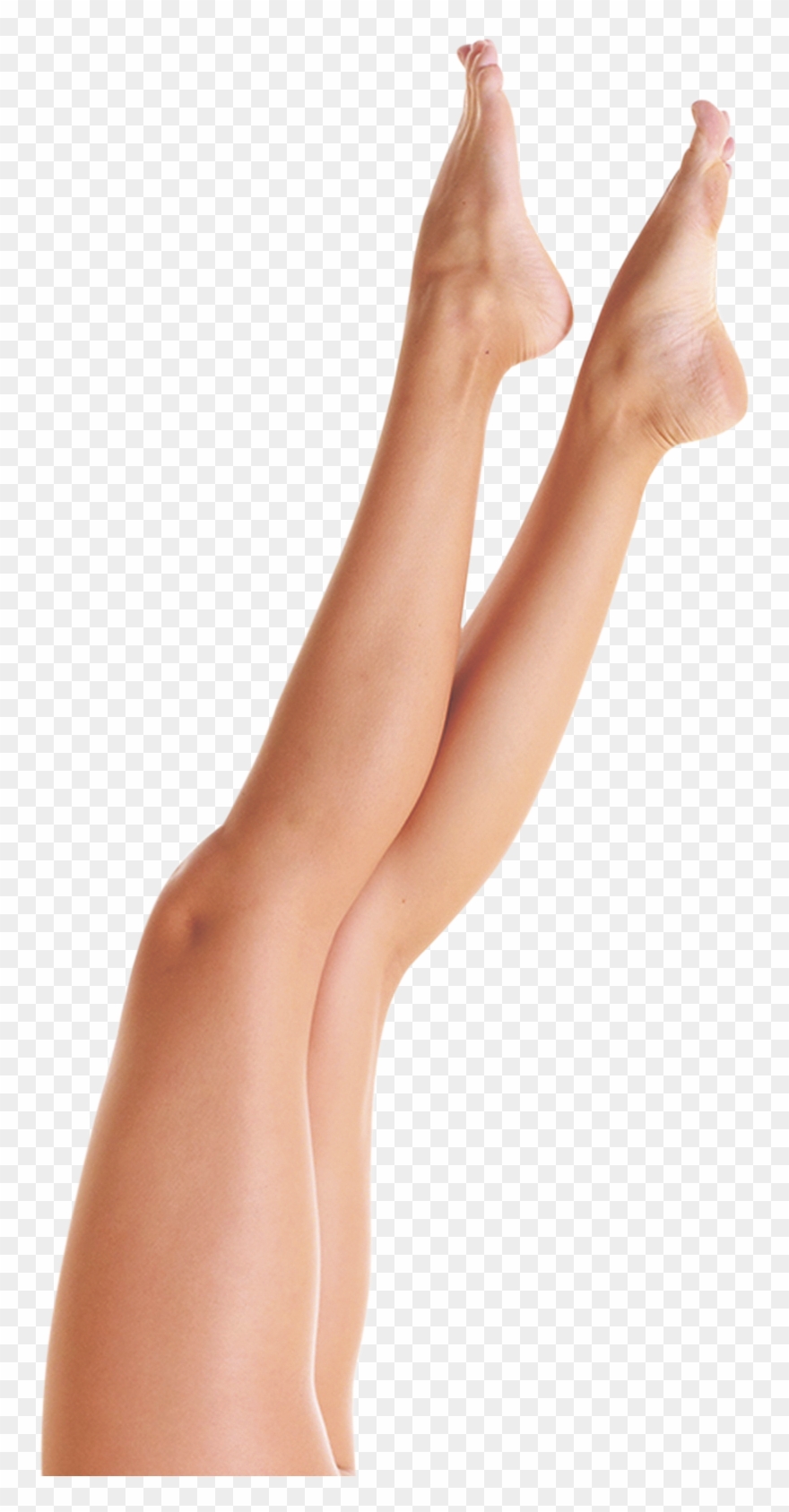 Legs Clipart Women's - Leg - Png Download