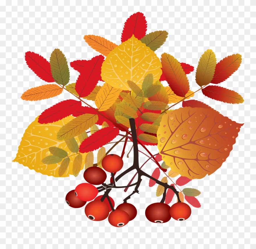 Explore These Ideas And More - Autumn Clipart