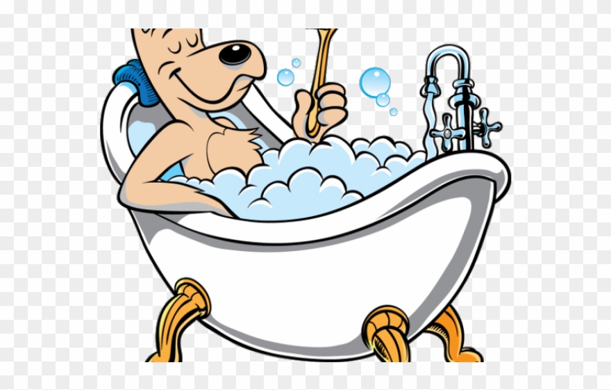 Thing Clipart Bathroom - Dog Grooming - Png Download