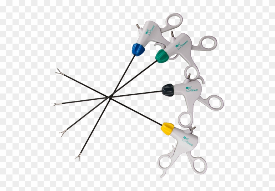 3mm Lap Instruments Clipart