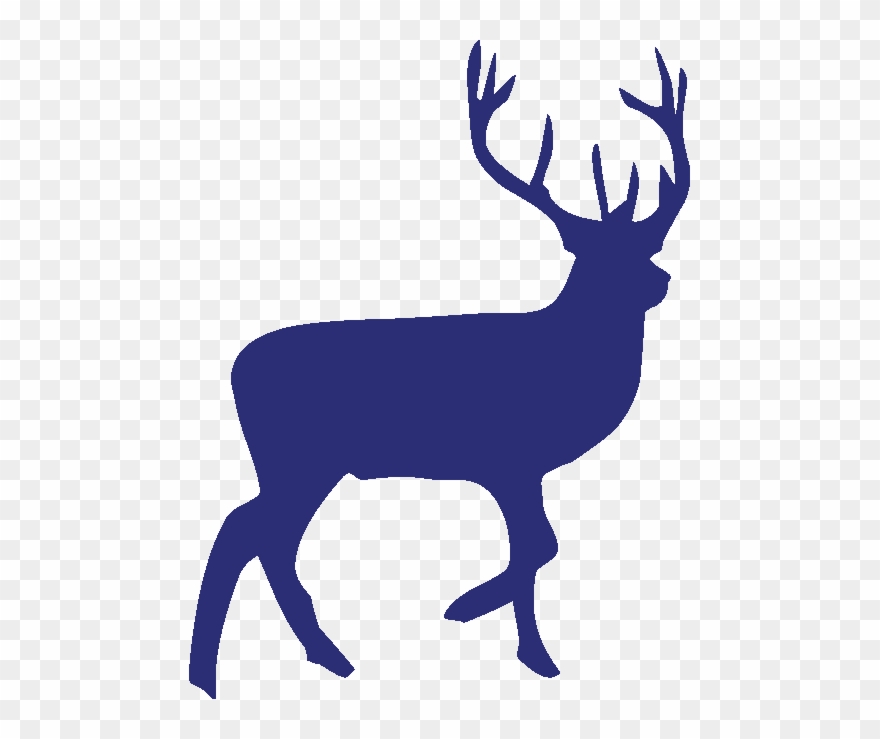 Between 8 10 Million People Visit The Great Smoky Mountains - Full Body Deer Stencil Clipart