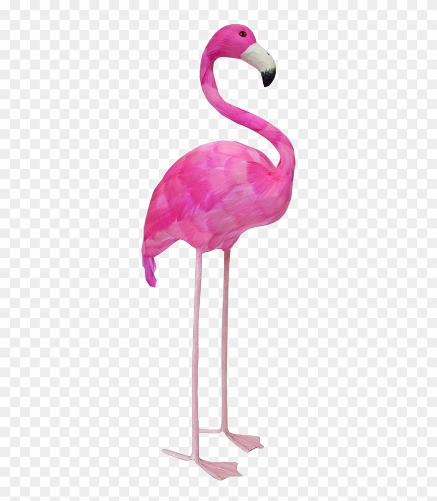 Flamingo Art Png Free Pic - Talking Flamingo Clipart