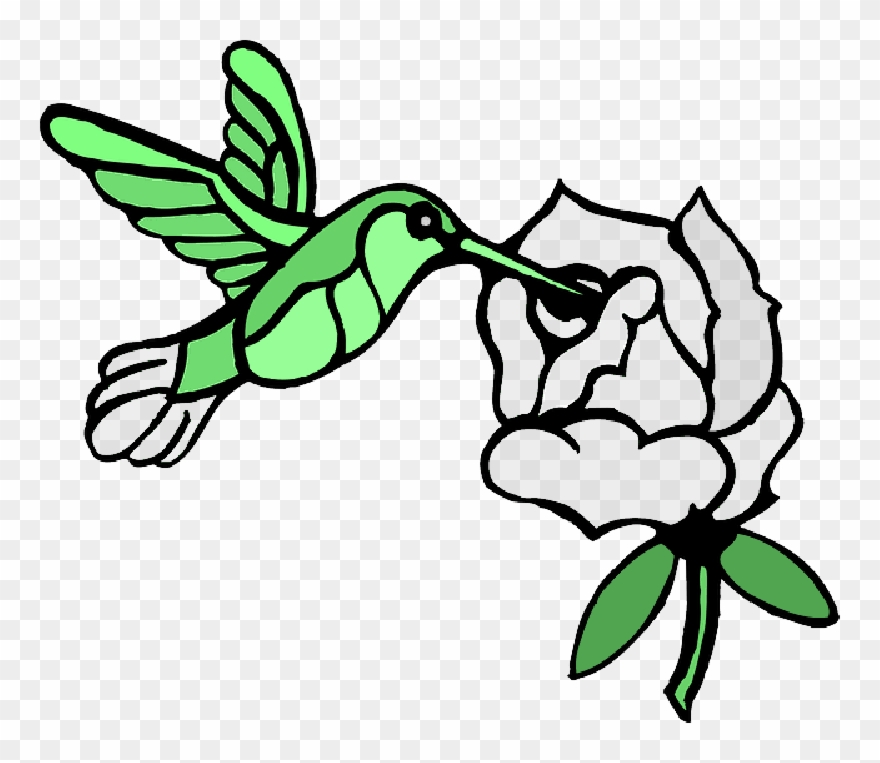 Draw A Hummingbird , Png Download - Draw A Hummingbird Clipart