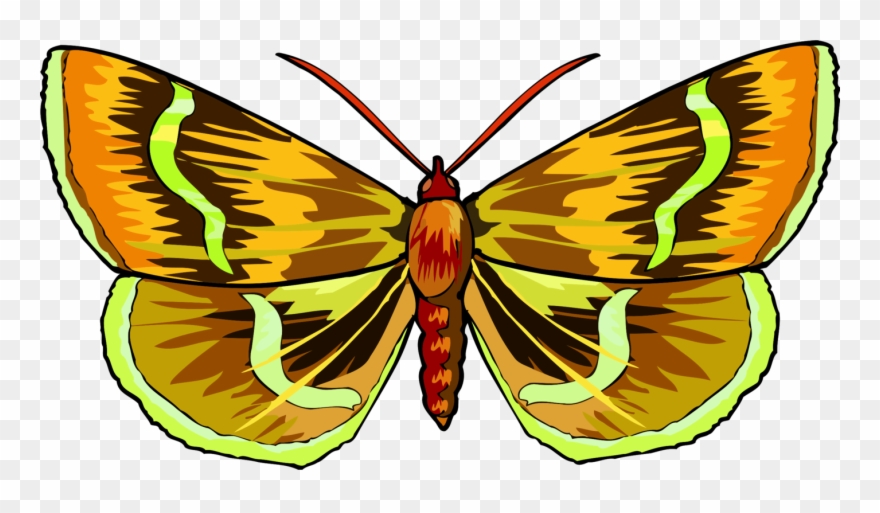 All Photo Png Clipart - Clip Art Transparent Png