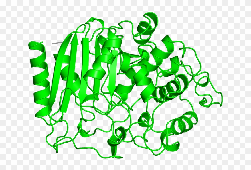 <div Class='caption-body'>1 Copy Of Scop Domain < - Illustration Clipart