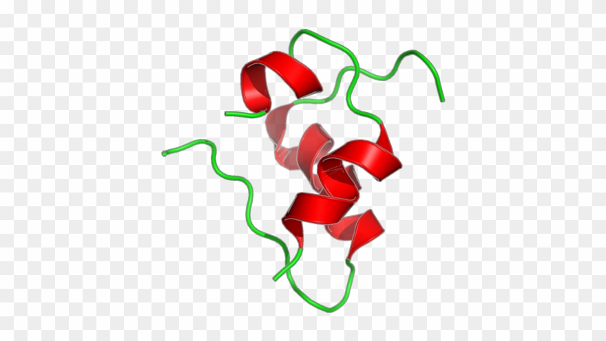 Nmr Structure Of Human Insulin Mutant Gly B20 D Ala, - Illustration Clipart