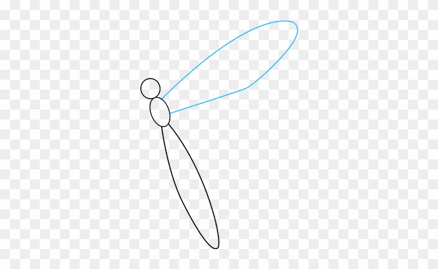 How To Draw Dragonfly - Net-winged Insects Clipart