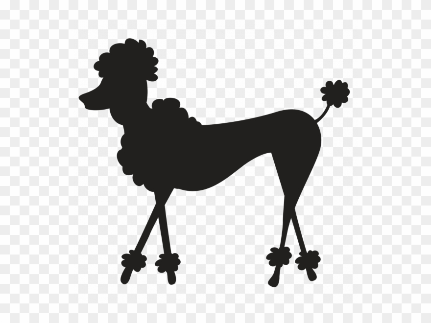 B91b22cdc92f4d6465ab - - Perro Paris Png Clipart