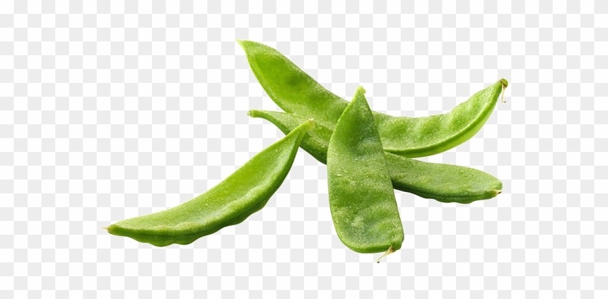 Pea Png Free Image - Snap Pea Clipart