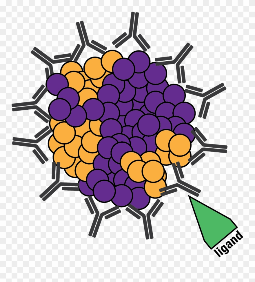 Diversimab Immune Reaction Clipart