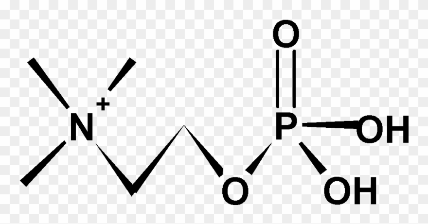 A) Phosphorylchline B) Bound To Mcpc603 Antibody Clipart