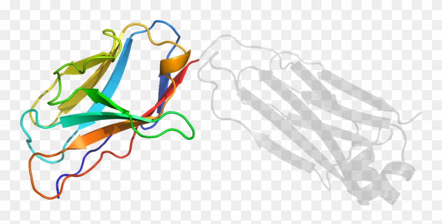 D6by2b1 In Context Of Chain Clipart