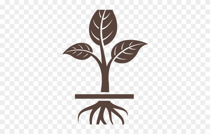 Potted Plants Clipart Plant Producer - Graphic Design - Png Download