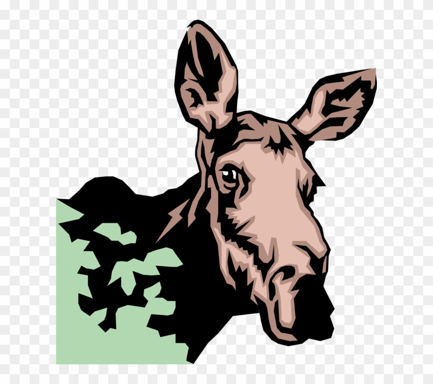 Vector Illustration Of Large, Long-headed Mammal Female - Illustration Clipart
