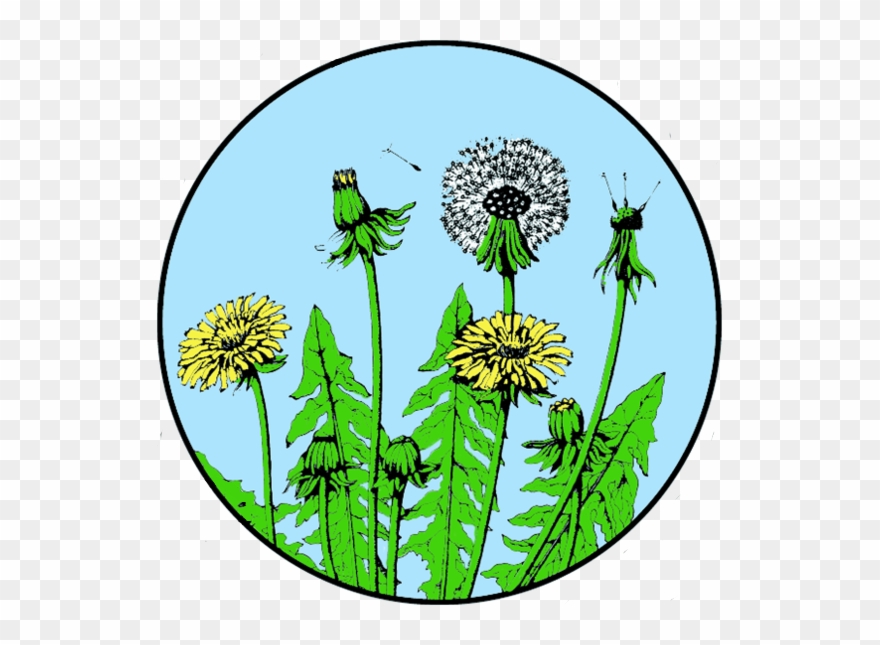 Center For Sustainable Living Sustainable Living, Non - Illustration Clipart