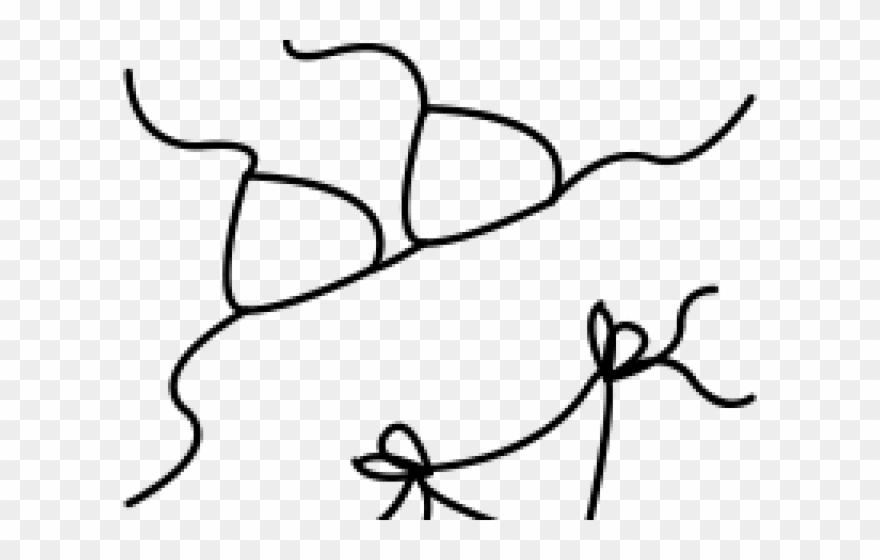 Drawn Mason Jar Transparent - Line Art Clipart