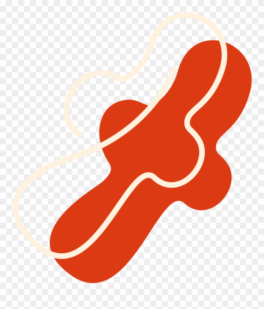 Artboard 35@2x-8 Clipart