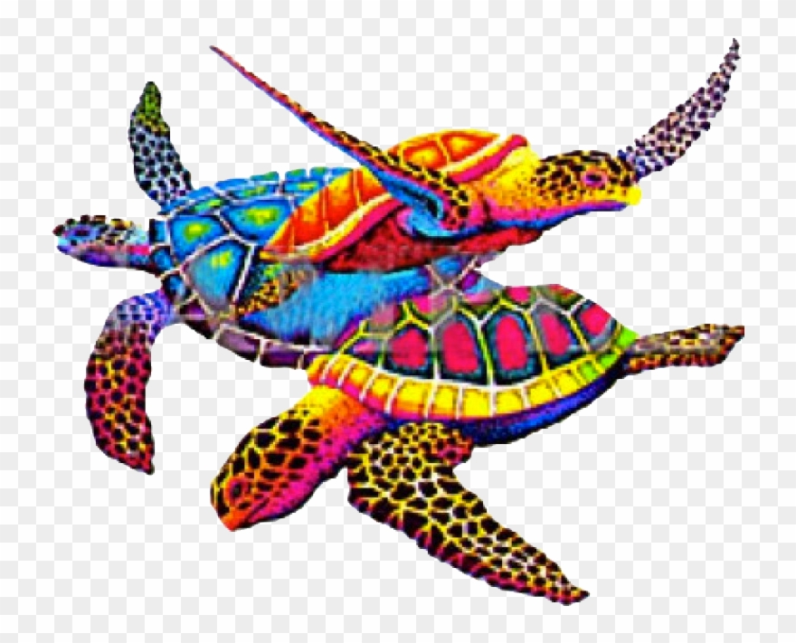 Tropical Turtles Printed T-shirt - Loggerhead Sea Turtle Clipart