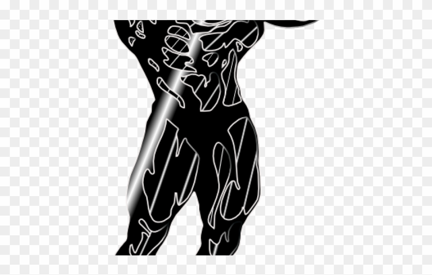 Bodybuilding Clipart Body Building - Illustration - Png Download