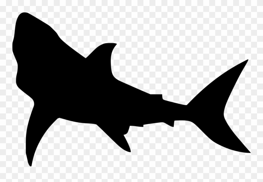 Download Png - Shark Silhouette Transparent Clipart
