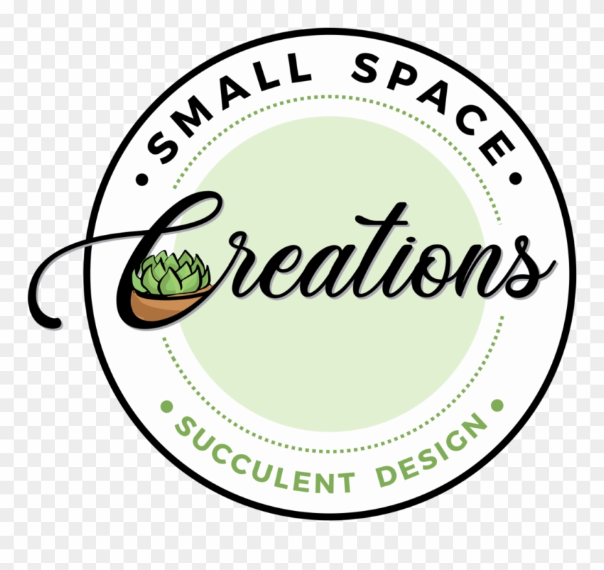 Small Space Creations - Circle Clipart