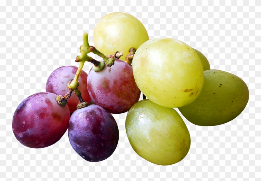 Free Png Red And Green Grapes Png - Red And Green Grapes Png Clipart