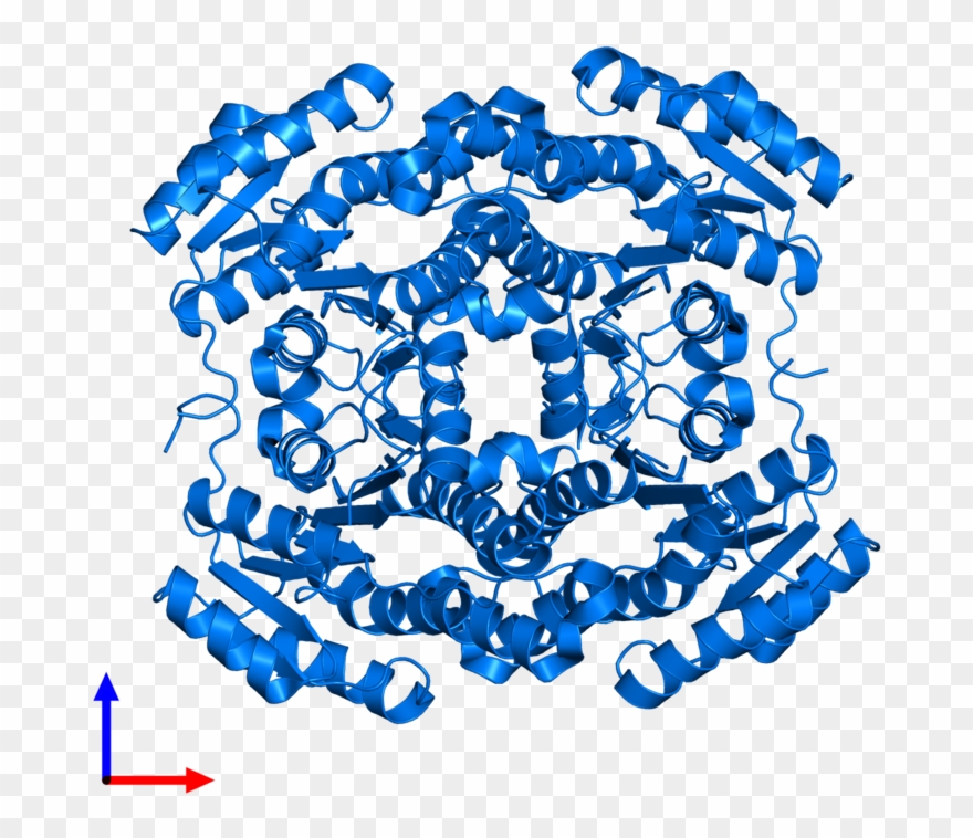 <div Class='caption-body'>pdb Entry 3enn Contains 4 Clipart