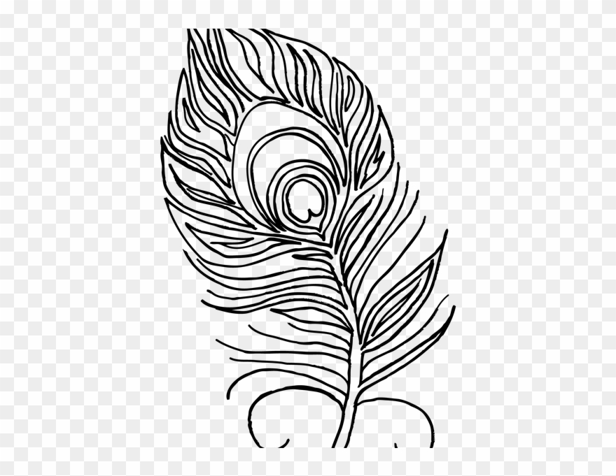 Feather - Peacock Feather Colouring Pages Clipart