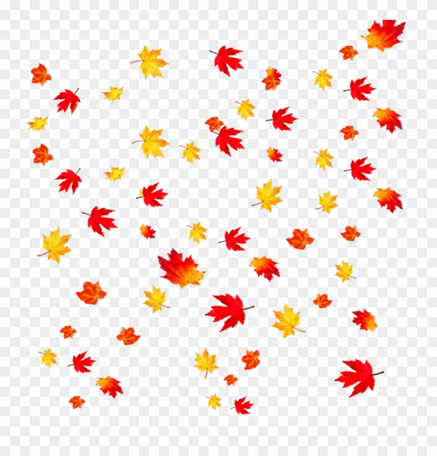 Fallingleaves Sticker - Autumn Leaves Transparent Background Clipart