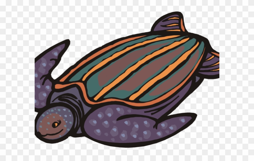 Sea Turtle Clipart Pond Turtle - Leatherback Turtle Drawing Cartoon - Png Download