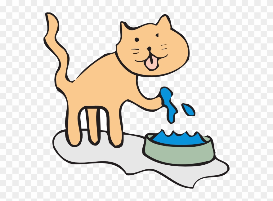 Clipart Of Drinking, 6 Cat And Feed - Png Download